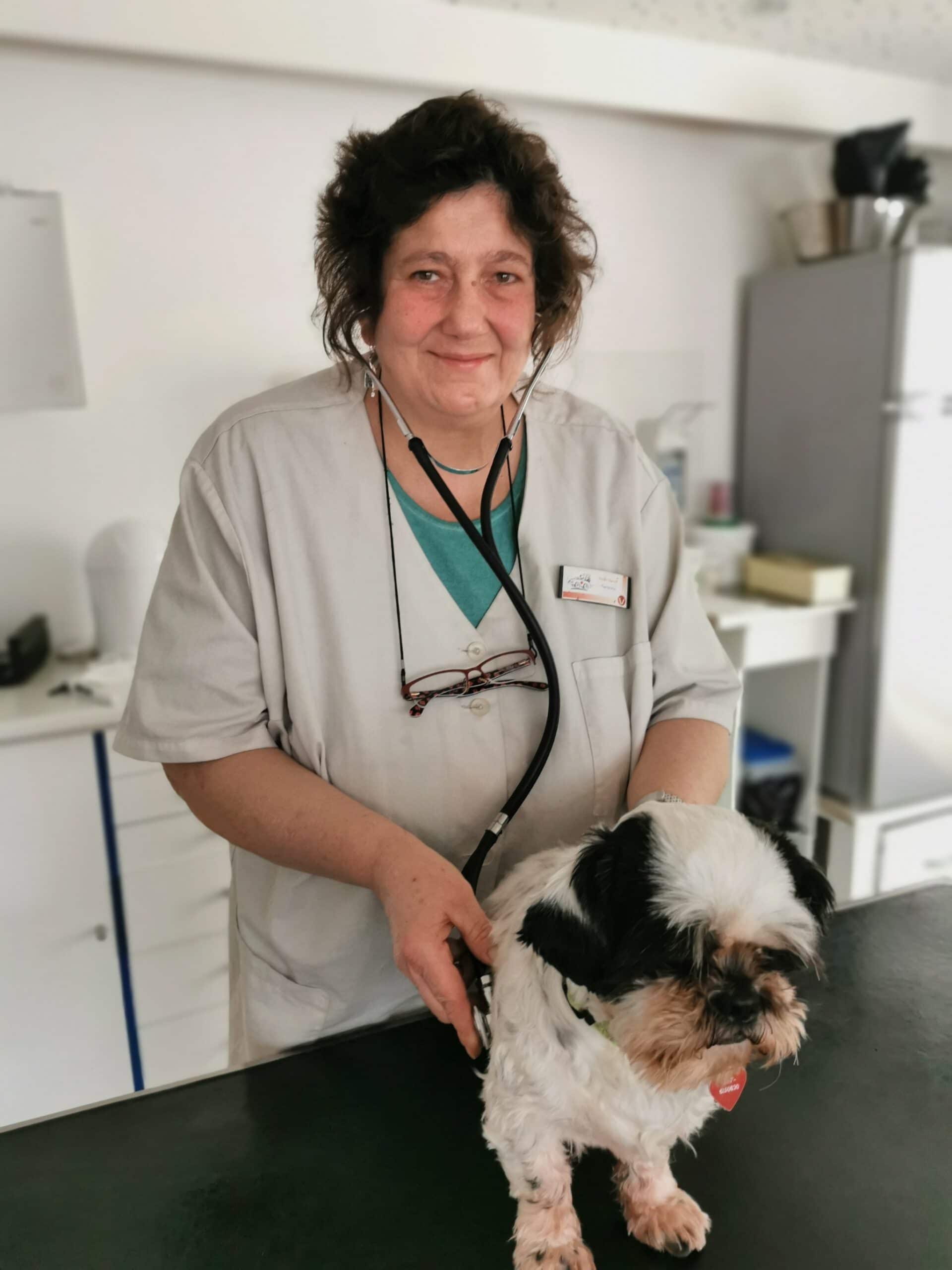 Kleiner Hund auf Behandlungstisch mit Ärztin