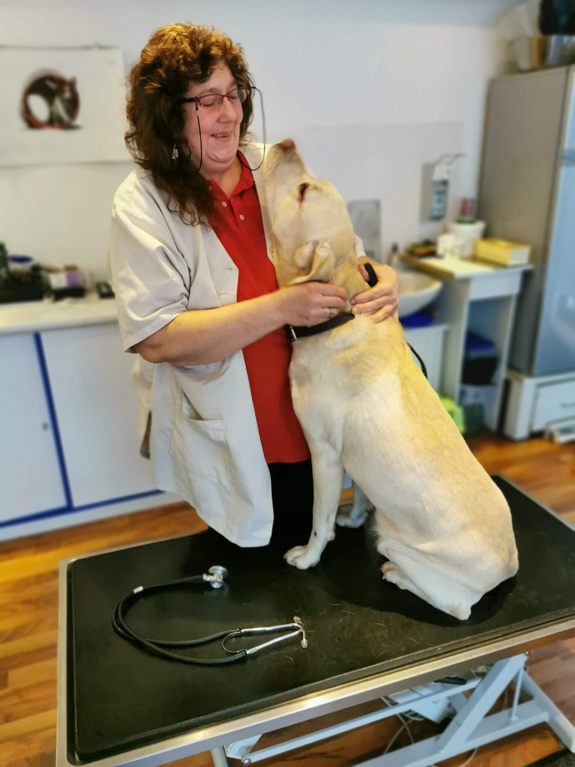 Manche Hunde lieben ihren Tierarzt